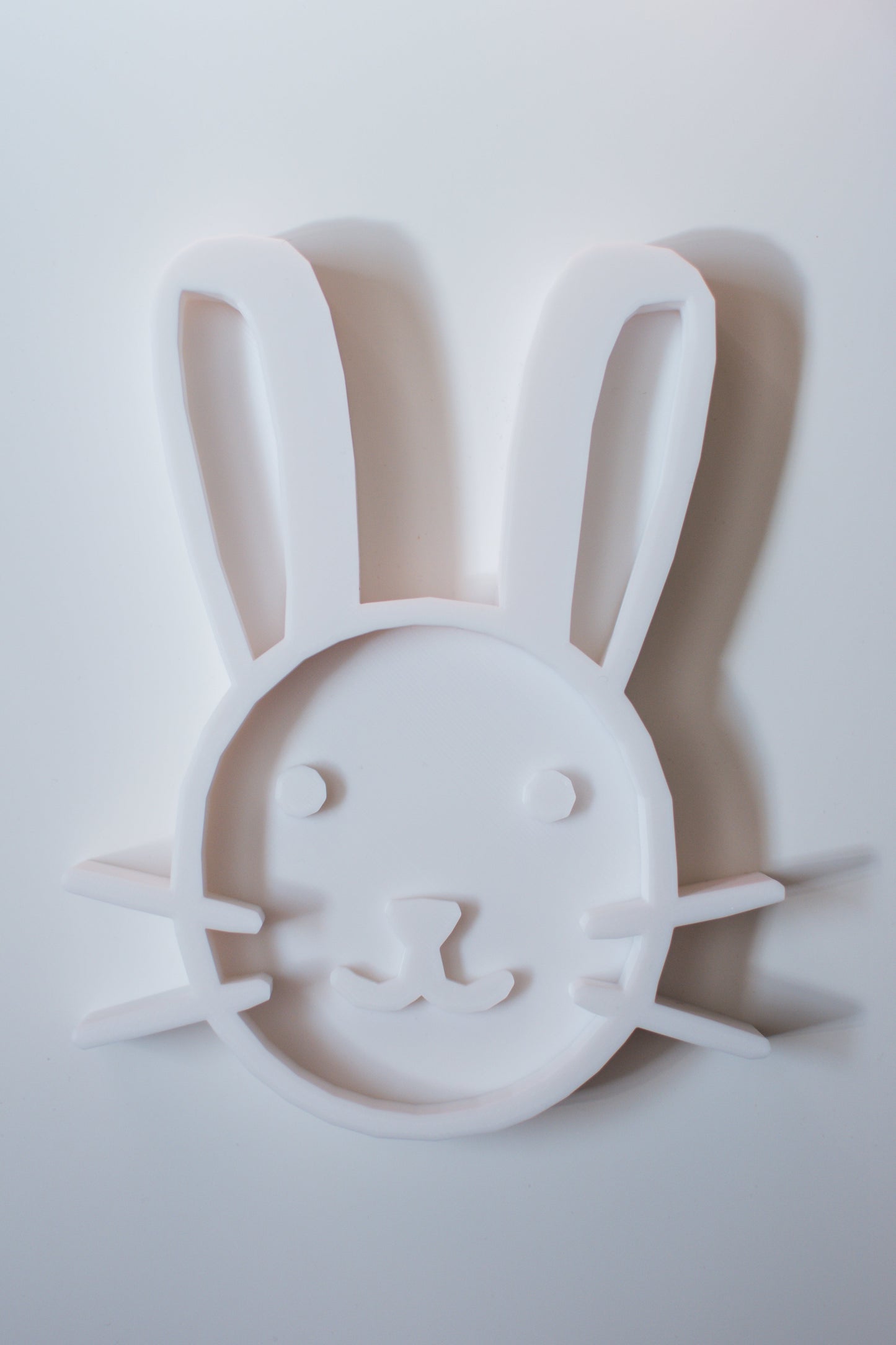 Plateau sensoriel lapin
