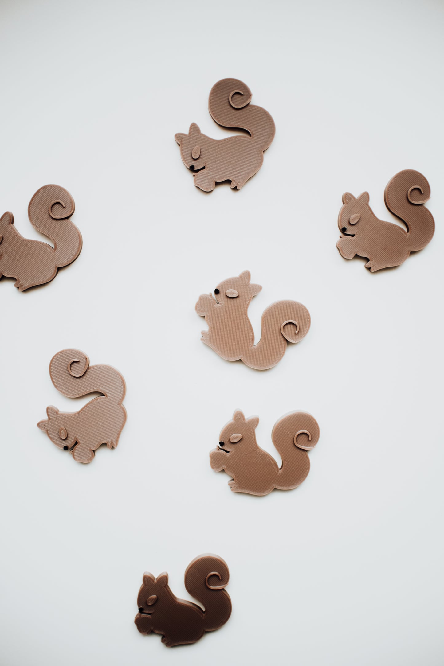 Animaux de la forêt